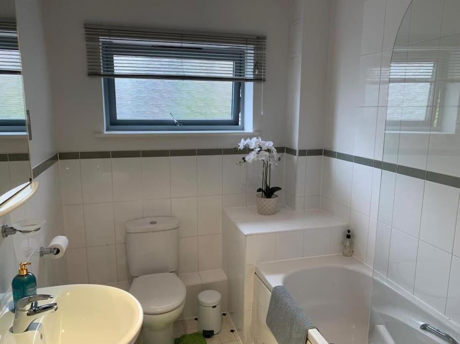 Brownberry Tree Serviced Apartment CBG Exterior photo